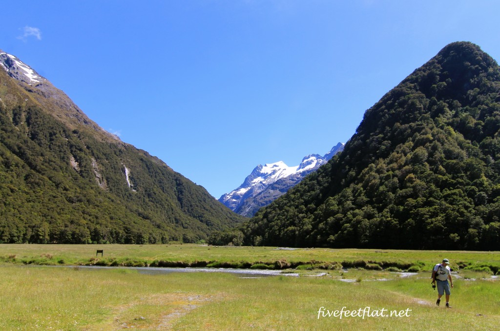 The Routeburn Flats. Right in front of you is another trail not part of the main Routeburn